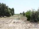 Vente Terrain Canha PEGA�ES 2662 m2 10 pieces Portugal