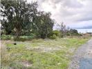 Vente Terrain Canha PEGA�ES 32767 m2 Portugal