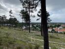 Vente Terrain Carvalhal 5924 m2 Portugal