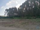 Vente Terrain Casal-barqueiro SAO-QUINTINO 4550 m2 Portugal