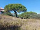 Vente Terrain Cascais CASCAIS-E-ESTORIL 800 m2 Portugal