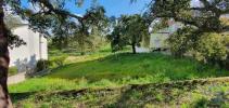 Vente Terrain Castelo-branco CASTELO-BRANCO 1185 m2 Portugal