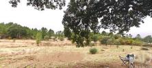 Vente Maison Castelo-branco BENQUERENA§AS 42 m2 Portugal