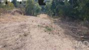 Vente Terrain Castelo-branco SARZEDAS 800 m2 Portugal