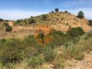 Vente Terrain Castro-marim CASTRO-MARIM 17640 m2 Portugal