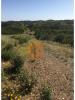 Vente Terrain Castro-marim AZINHAL 3676 m2 Portugal