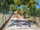 Vente Maison Castro-marim ALTURA 220 m2 Portugal