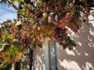 Vente Maison Castro-marim ODELEITE 164 m2 Portugal