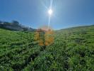 Vente Terrain Castro-marim CASTRO-MARIM 26240 m2 Portugal