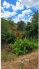 Vente Terrain Castro-marim ODELEITE 5960 m2 Portugal