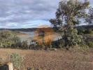 Vente Terrain Castro-marim AZINHAL 32767 m2 Portugal