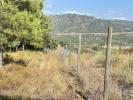 Vente Terrain Celorico-da-beira  32767 m2 Portugal