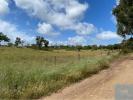 Vente Terrain Cercal-do-alentejo CERCAL 32767 m2 Portugal