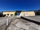 Vente Local industriel Chamusca PARREIRA-E-CHOUTO 878 m2 Portugal