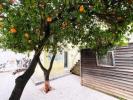 Vente Maison Coimbra SANTO-ANTANIO-DOS-OLIVAIS 150 m2 Portugal