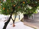 Vente Maison Coimbra SANTO-ANTANIO-DOS-OLIVAIS 150 m2 Portugal