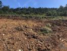 Vente Terrain Condeixa-a-nova VILA-SECA-E-BEM-DA-FA 13000 m2 Portugal