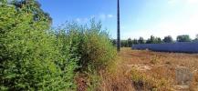 Vente Terrain Coruche 489 m2 Portugal