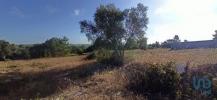 Vente Terrain Coruche 509 m2 Portugal