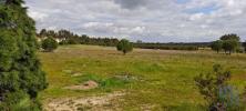 Vente Terrain Coruche 32767 m2 Portugal