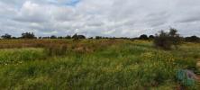 Vente Terrain Coruche BRANCA 7020 m2 Portugal