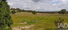 Vente Terrain Coruche BRANCA 32767 m2 Portugal