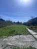 Vente Maison Costa-nova-do-prado ALHAVO-(SAO-SALVADOR) 402 m2 Portugal