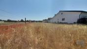 Vente Terrain Costa-nova-do-prado GAFANHA-DA-ENCARNAAAO 1570 m2 Portugal