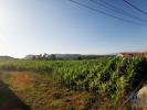 Vente Terrain Esposende ANTAS 4675 m2 Portugal