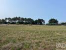 Vente Terrain Esposende BELINHO-E-MAR 4680 m2 Portugal