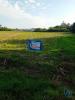Vente Terrain Estarreja PARDILHAł 1250 m2 Portugal