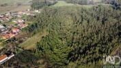 Vente Terrain Estarreja BEDUA�DO-E-VEIROS 1825 m2 Portugal