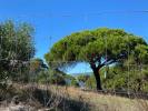 Vente Terrain Estoril 1400 m2 Portugal