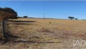 Vente Terrain Estremoz ESTREMOZ-(SANTA-MARIA-E-SANTO-ANDRA�) 15000 m2 Portugal