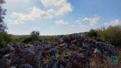 Vente Terrain Faro SANTA-BA¡RBARA-DE-NEXE 13040 m2 Portugal