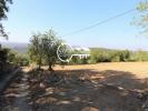 Vente Terrain Faro CONCEIA�A�O-E-ESTOI 7680 m2 Portugal
