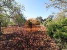 Vente Terrain Faro CONCEIAAO-E-ESTOI 5600 m2 Portugal