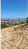 Vente Terrain Faro SANTA-BARBARA-DE-NEXE 5160 m2 Portugal