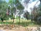 Vente Terrain Faro  382 m2 Portugal