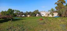 Vente Terrain Faro CONCEIAAO-E-ESTOI 7940 m2 Portugal