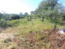 Vente Terrain Faro SANTA-BARBARA-DE-NEXE 192 m2 Portugal