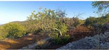 Vente Terrain Faro CONCEIAAO-E-ESTOI 3280 m2 Portugal