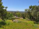 Vente Terrain Faro SANTA-BARBARA-DE-NEXE 3840 m2 Portugal