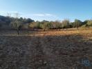 Vente Terrain Faro CONCEIAAO-E-ESTOI 10670 m2 Portugal