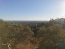 Vente Terrain Faro CONCEIAAO-E-ESTOI 11080 m2 Portugal