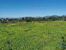 Vente Terrain Faro CONCEIA�A�O-E-ESTOI 1568 m2 Portugal