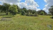 Vente Terrain Faro SANTA-BARBARA-DE-NEXE 6160 m2 Portugal