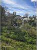 Vente Terrain Faro CONCEIAAO-E-ESTOI 300 m2 Portugal