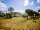 Vente Terrain Faro  2000 m2 Portugal