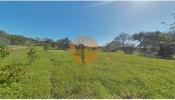 Vente Terrain Faro ESTOI 12480 m2 Portugal